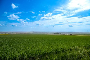 Tarlaların ve bulutlu gökyüzünün manzarası. Yüksek kalite fotoğraf