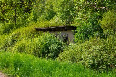 Çalılıkların arasına gizlenmiş ve büyümüş eski bir kulübe. Yüksek kalite fotoğraf