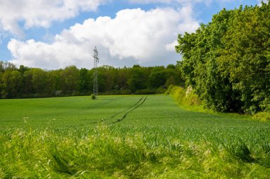Traktör izleri olan tarlalar. Yüksek kalite fotoğraf