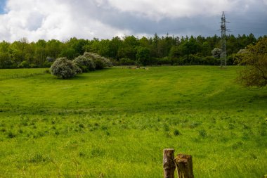 Çitli bir hayvan otlağının panoramik görüntüsü. Yüksek kalite fotoğraf