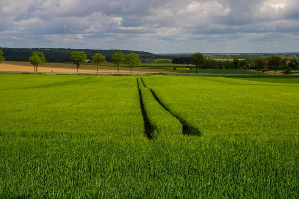 Bauern Feld Mit Traktorspuren Hochwertiges Foto — Stockfoto
