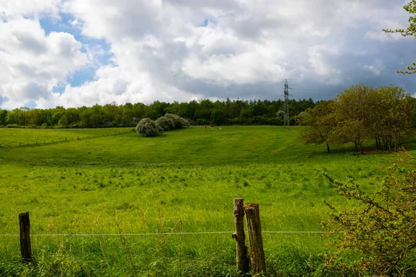 Panoramic View Animal Pasture Fence High Quality Photo — Stock Photo, Image