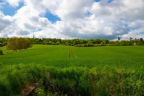 Панорама Поля Фермерів Блакитним Небом Хмарами Високоякісна Фотографія — стокове фото