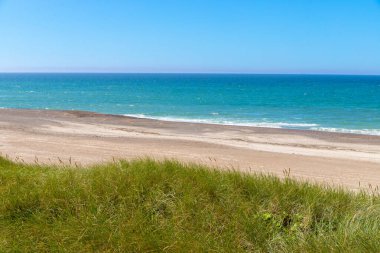 Danimarka 'da kumullar büyümüş, arka planda deniz var. Yüksek kalite fotoğraf