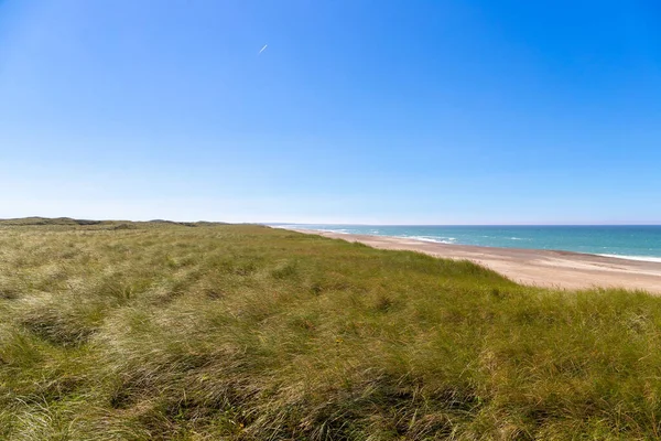 stock image overgrown dunes on the beach in Denmark with sea in the background. High quality photo