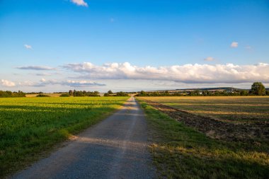 Almanya, ağaçlı toprak bir yolun manzarası. Yüksek kalite fotoğraf
