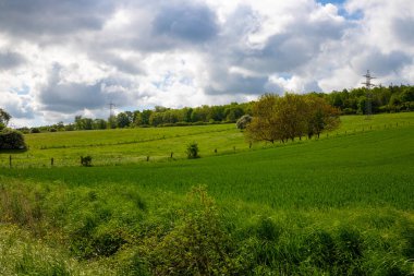 Beyaz bulutlu yeşil bir tepenin üzerinde panoramik bir çekim. Yüksek kalite fotoğraf