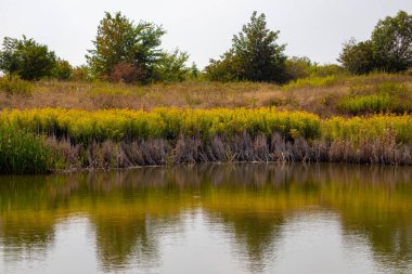 Çimen ve su yansıması olan bir göl manzarası. Yüksek kalite fotoğraf