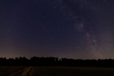 Yıldızlar gökyüzünde Samanyolu ile bir ormanın önünde. Yüksek kalite fotoğraf