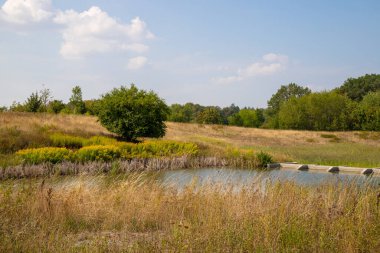 Bir gölü, az sayıda ağacı ve otları olan bir panorama. Yüksek kalite fotoğraf