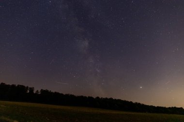 Yıldızlar gökyüzünde Samanyolu ile bir ormanın önünde. Yüksek kalite fotoğraf