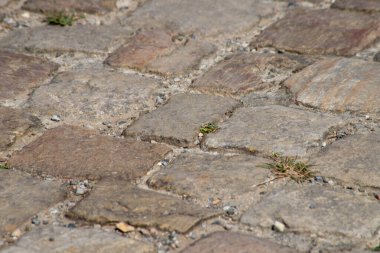 Taşlar ve yosunlarla kaplanmış kaldırım yolu. Yüksek kalite fotoğraf