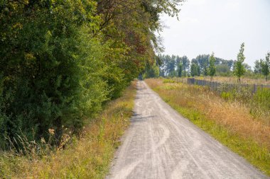 Yazın ormanın kıyısındaki tarla yolu. Yüksek kalite fotoğraf