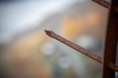 Metal bir plaka üzerinde paslı bir çivinin yakın çekimi. Yüksek kalite fotoğraf