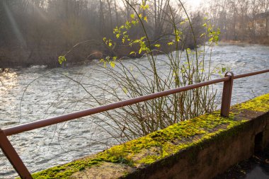 Kışın yosunlu duvar ve nehire giden korkuluk. Yüksek kalite fotoğraf