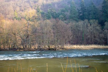 Nehir kışın, dağları ve ormanı kıyıda. Yüksek kalite fotoğraf