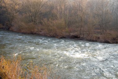 Nehir kışın, dağları ve ormanı kıyıda. Yüksek kalite fotoğraf