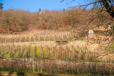 Kışın üzerinde silo olan eski üzüm bağları. Yüksek kalite fotoğraf