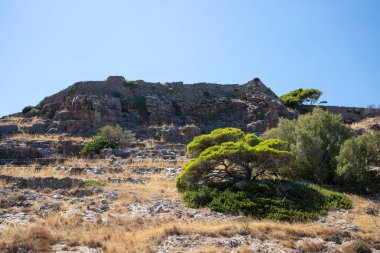 Kuru bir çevrede ağaçlar ve Girit 'te dağlar. Yüksek kalite fotoğraf