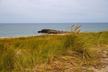 Bir deniz yolunun önündeki çim biçme makinesi. Yüksek kalite fotoğraf