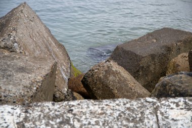 Deniz kenarında ıslak bir taşın yakın çekimi. Yüksek kalite fotoğraf