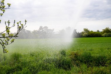 Tepeli bir tarla ve sulanan bir su topu. Yüksek kalite fotoğraf