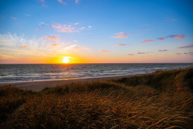 Kum tepeleri arasında Danimarka sahilinden Kuzey Denizi 'ne gün batımı. Yüksek kalite fotoğraf