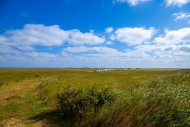 Danimarka kıyılarında geniş bir manzara ve arka planda kum tepeleri var. Yüksek kalite fotoğraf