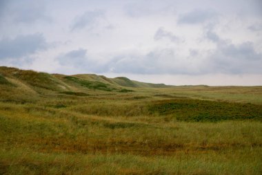 Danimarka 'nın Kuzey Denizi kıyısında geniş çim manzarası. Yüksek kalite fotoğraf