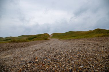 Kum tepeciğine giden ıslak çakıl yolu. Yüksek kalite fotoğraf