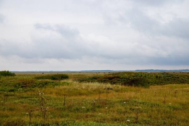 Danimarka 'nın Kuzey Denizi kıyısında geniş çim manzarası. Yüksek kalite fotoğraf