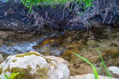 Dışı yeşil, içi küçük taşlarla dolu küçük bir dere. Yüksek kalite fotoğraf