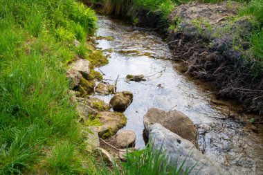 Dışı yeşil, içi küçük taşlarla dolu küçük bir dere. Yüksek kalite fotoğraf