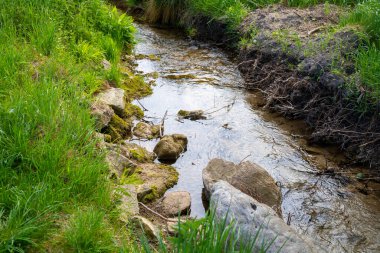 Dışı yeşil, içi küçük taşlarla dolu küçük bir dere. Yüksek kalite fotoğraf
