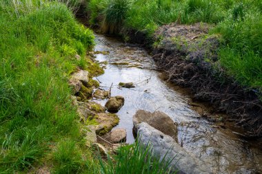 Dışı yeşil, içi küçük taşlarla dolu küçük bir dere. Yüksek kalite fotoğraf