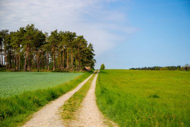 Kırsal kesimde ağaçlar arasında kırmızı elektrikli lokomotif sürüyordu. Yüksek kalite fotoğraf
