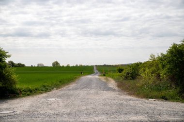 Eylül ayında toprak bir yolda panoramik manzara mısır, kolza tohumu, şeker pancarı ve çok az ağaçla. Yüksek kalite fotoğraf