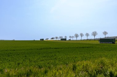 Arkasında bir sıra ağaç ve tepe olan bir tarlanın panoramik manzarası. Yüksek kalite fotoğraf