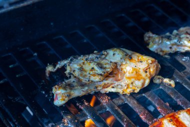 Salamura domuz bifteği ve ızgarada alevler içinde tavuk bifteği. Yüksek kalite fotoğraf
