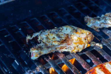 Salamura domuz bifteği ve ızgarada alevler içinde tavuk bifteği. Yüksek kalite fotoğraf