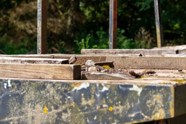 Ormandaki ağaç gövdeleri için eski karavanın yakın çekimi. Yüksek kalite fotoğraf