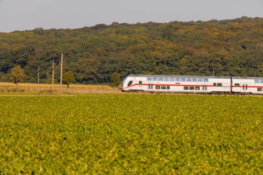 Beyaz çift katlı insanlar sahada antrenman yapıyor. Yüksek kalite fotoğraf