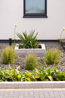 Tahta bahçesinde Yucca olan doğal bir taş kaldırdı. Yüksek kalite fotoğraf