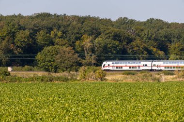 Beyaz çift katlı insanlar sahada antrenman yapıyor. Yüksek kalite fotoğraf