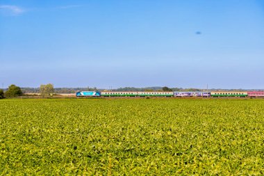Mavi tren uzaktaki bir ormandan geçer. Yüksek kalite fotoğraf