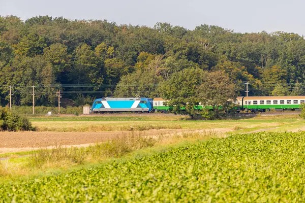Mavi tren uzaktaki bir ormandan geçer. Yüksek kalite fotoğraf