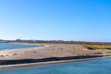 Çiçek saksısı, çeşitli çiçekler ve pampern otlarından yapraklar. Yüksek kalite fotoğraf