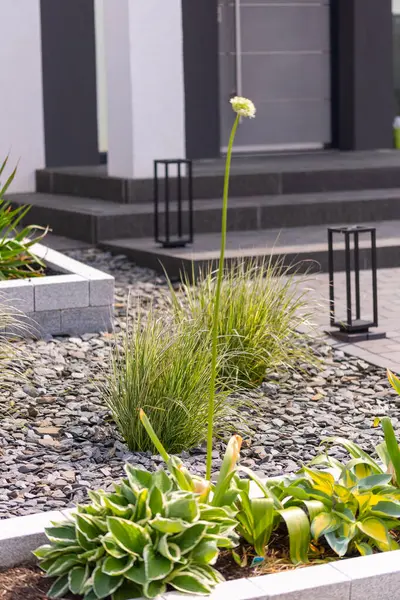 Otların ve bitkilerin olduğu tahta yataklı eve giriş. Yüksek kalite fotoğraf