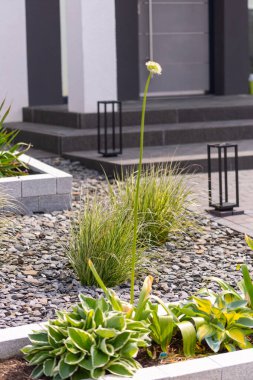 Otların ve bitkilerin olduğu tahta yataklı eve giriş. Yüksek kalite fotoğraf