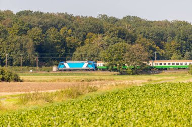 Mavi tren uzaktaki bir ormandan geçer. Yüksek kalite fotoğraf